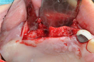 Dsc 7007 qxctoq - Eugenol