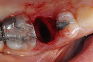 Dsc 7935 zl0zld - Eugenol