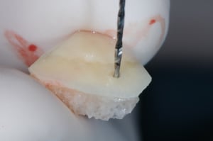 Dsc 9456 rjrw2a - Eugenol