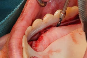 Dsc 9718 cgc58s - Eugenol