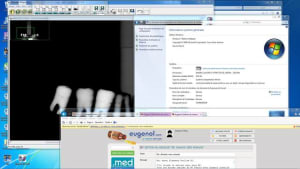 Ec w7 64 gecuch - Eugenol