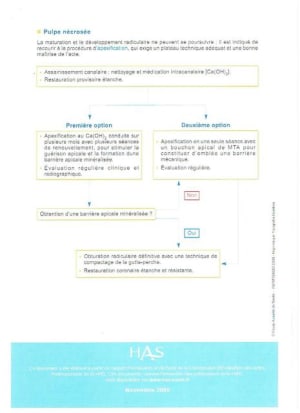 Has 4 iktzho - Eugenol