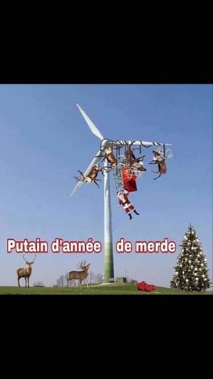 Img 20201224 wa0005 hgalzq - Eugenol