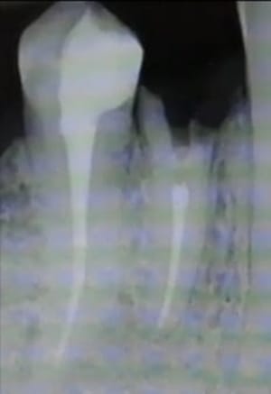 Img 20210505 wa0009 qc5uzv - Eugenol