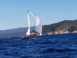 Img 20210827 wa0008 fcc9nt - Eugenol