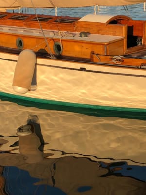 Img 20210830 wa0005 tcqqat - Eugenol