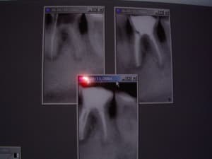 Imgp0270 z9asta - Eugenol