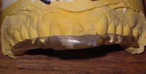 Imgp0644 g2mztt - Eugenol