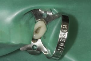 Img 0011 g3zodc - Eugenol