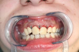 Img 0074 idsbva - Eugenol