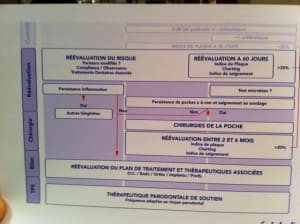 Img 0603 m8ftxk - Eugenol