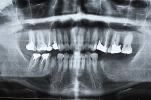 Img 0799 anzz4y - Eugenol