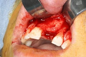 Img 1072 dlscpu - Eugenol