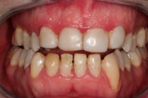 Img 1524 clpxg0 - Eugenol