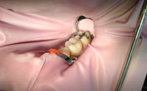 Img 1547 gysvby - Eugenol