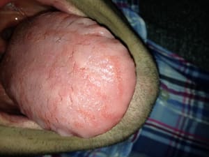 Img 1708 z6fmws - Eugenol