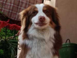 Img 20140315 174810 xf8wx9 - Eugenol