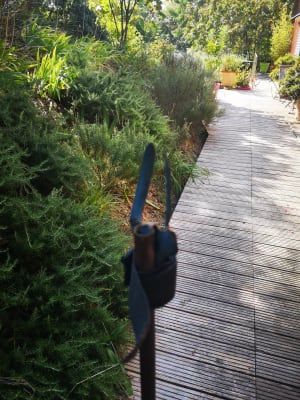 Img 20180915 113017 tnw2mh - Eugenol