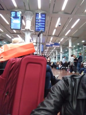 Img 20181104 181722 yctp26 - Eugenol