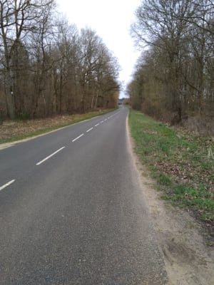 Img 20190306 100727 iczvtj - Eugenol