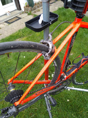 Img 20190407 155312 oplcns - Eugenol