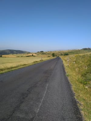 Img 20190806 100249 ilvenl - Eugenol