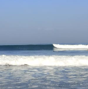 Img 20190828 090930 lgit8n - Eugenol