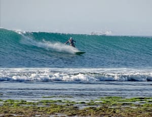 Img 20190902 214420 xvz5gw - Eugenol