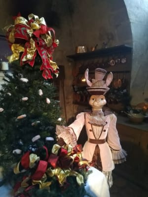 Img 20191228 125402 qshfyn - Eugenol