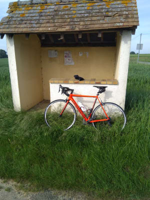 Img 20200513 094428 btcbvs - Eugenol