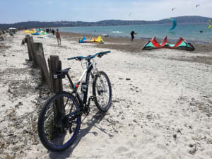 Img 20200523 140358 pnb70k - Eugenol