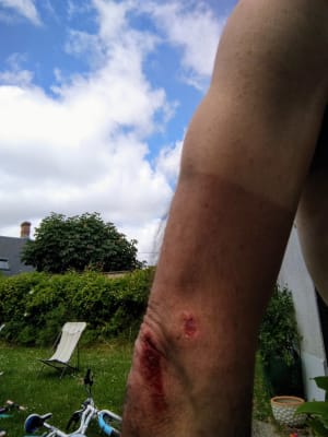 Img 20200524 120553 2 xbek9e - Eugenol