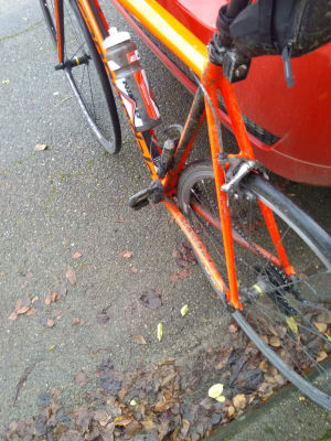 Img 20201222 125921 j3hdti - Eugenol