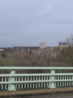 Img 20201228 120951 mnnqnm - Eugenol