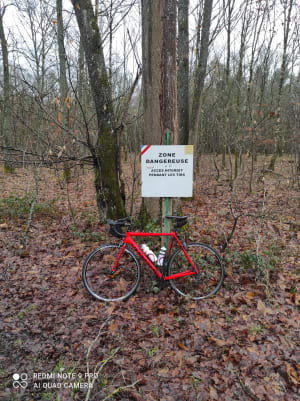 Img 20210131 153701 on1oo2 - Eugenol