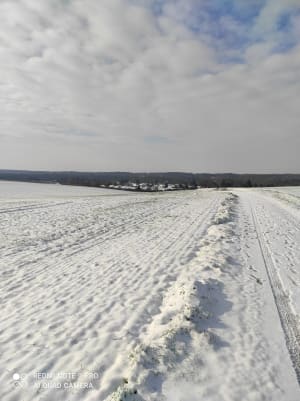 Img 20210210 105806 maen6s - Eugenol