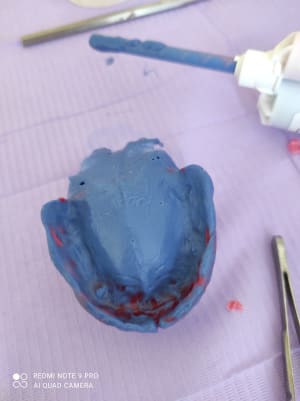 Img 20210211 115757 s0exxl - Eugenol