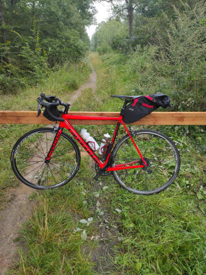 Img 20210818 091608 luqa6l - Eugenol