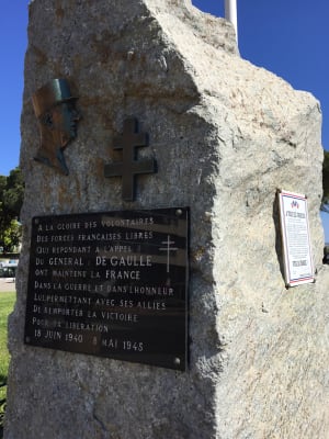 Img 2378 jnepxr - Eugenol