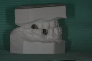 Img 2643 bnfi9p - Eugenol