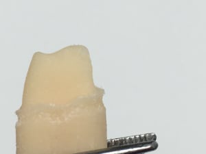 Img 3999 r1z71w - Eugenol