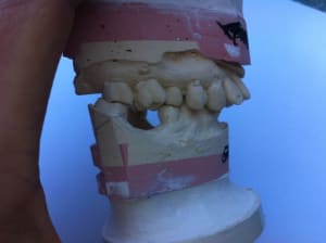 Img 5127 h14qpz - Eugenol