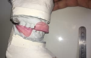 Img 5546 bpv0o6 - Eugenol