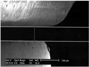 Image1 zogkzl - Eugenol