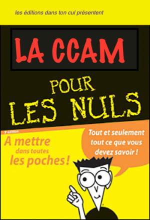 Internet pour les nuls en poche wjtcgg - Eugenol