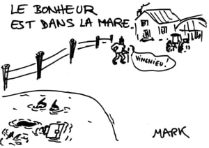 Mare et chale qlhjam - Eugenol