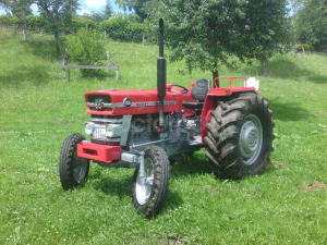 Massey ferguson 155 lb8tqy - Eugenol