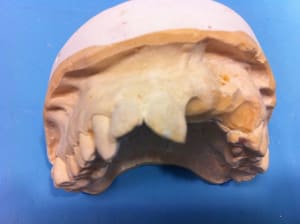 Photo 14 03 12 16 22 19 g97hf8 - Eugenol