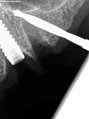 R15 i9nafz - Eugenol