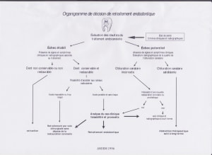 Rte jnwmmh - Eugenol